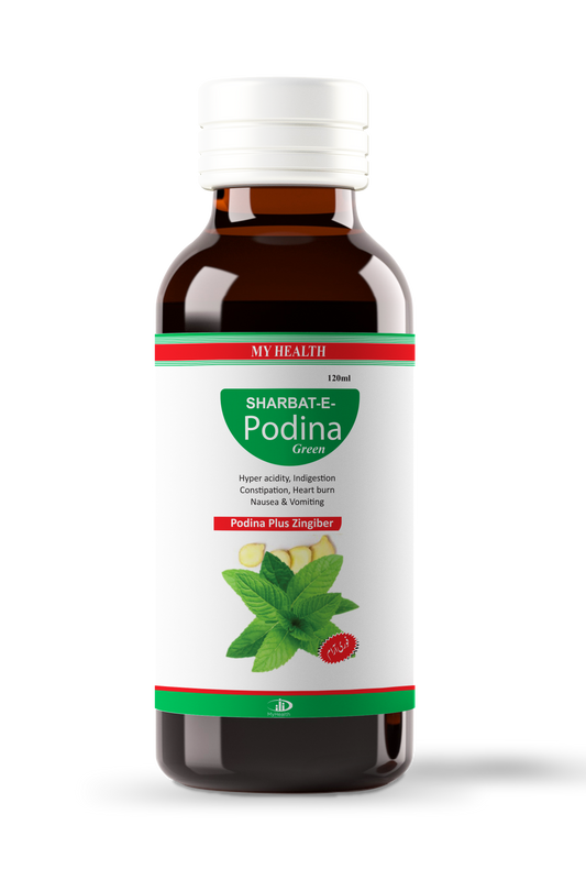 SHARBAT-E Podina Green